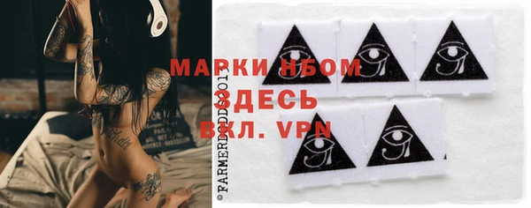 бошки Ладушкин