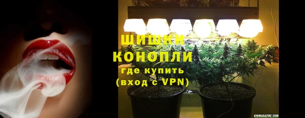 бошки Ладушкин