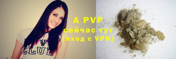 бошки Ладушкин