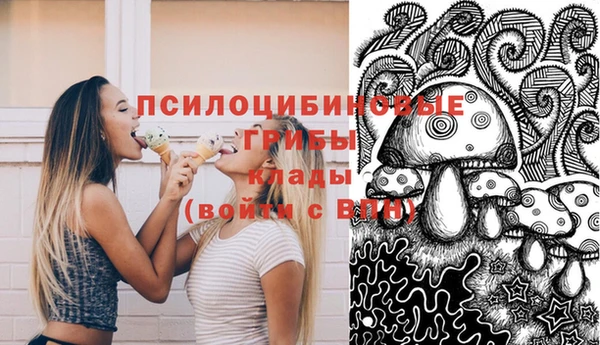 героин Лагань