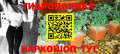 ECSTASY Заводоуковск