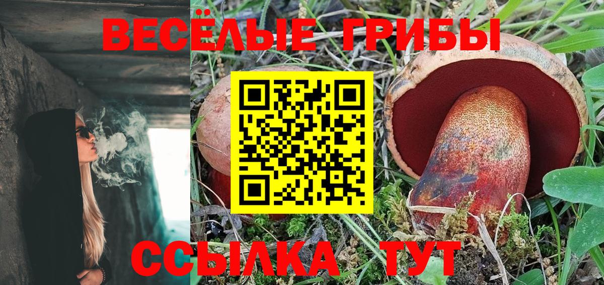купить наркоту  Мариинск  Псилоцибиновые грибы прущие грибы 