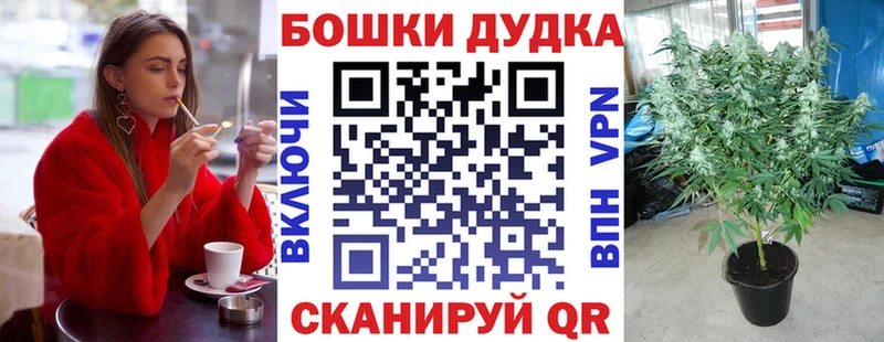 Бошки марихуана сатива  сайты даркнета состав  Мариинск 